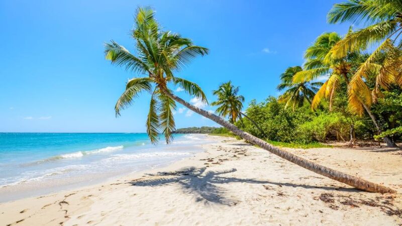 Réussir son voyage en Martinique : conseils et astuces